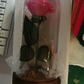 Enchanted Forever Rose Flower In Glass LED Light Home Decoration