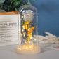Enchanted Forever Rose Flower In Glass LED Light Home Decoration