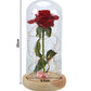 Enchanted Forever Rose Flower In Glass LED Light Home Decoration