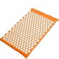 Acupuncture Yoga Cushion and Pillow