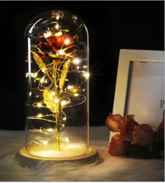 Enchanted Forever Rose Flower In Glass LED Light Home Decoration